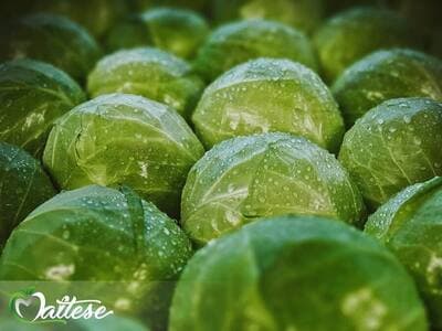 Figura illustrativa Maltese Mercati