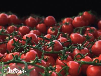 Figura illustrativa Maltese Mercati