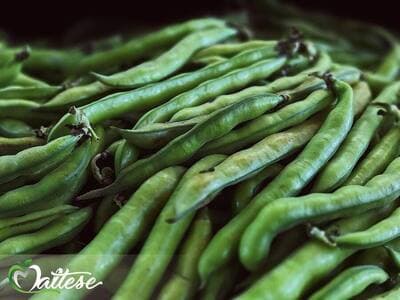 Figura illustrativa Maltese Mercati