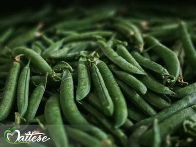 Figura illustrativa Maltese Mercati