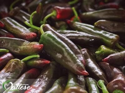 Figura illustrativa Maltese Mercati