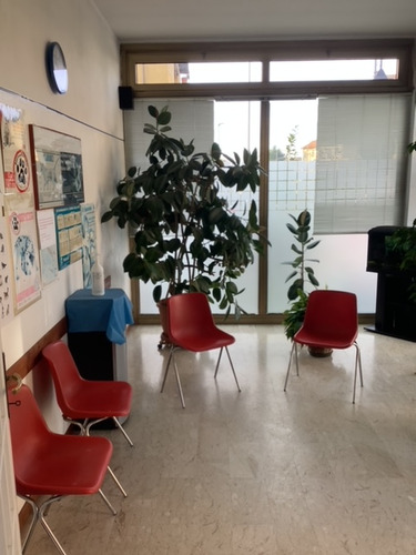 Figura illustrativa Ambulatorio Veterinario Gazzada