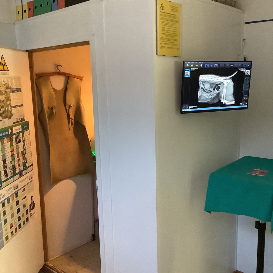 Figura illustrativa Ambulatorio Veterinario Gazzada