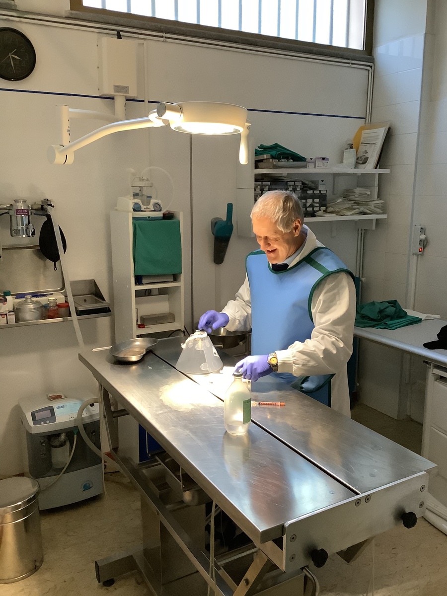 Figura illustrativa Ambulatorio Veterinario Gazzada