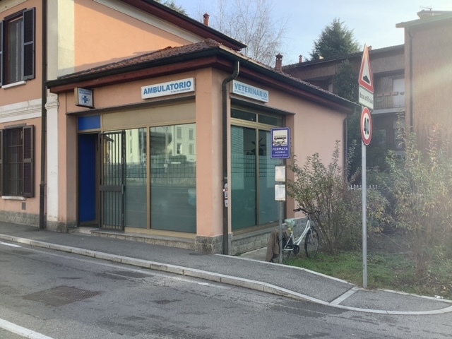 Figura illustrativa Ambulatorio Veterinario Gazzada