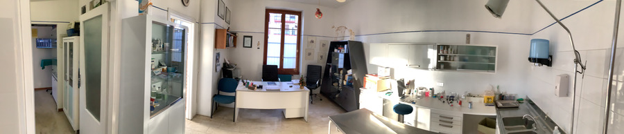 Figura illustrativa Ambulatorio Veterinario Gazzada