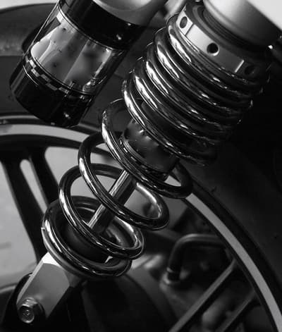 Figura illustrativa Tecnomoto Vitello