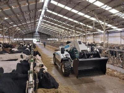 Figura illustrativa Iacono Serre S.r.l.s.