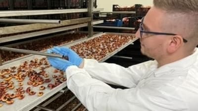 Figura illustrativa Lucor Food