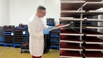 Figura illustrativa Lucor Food