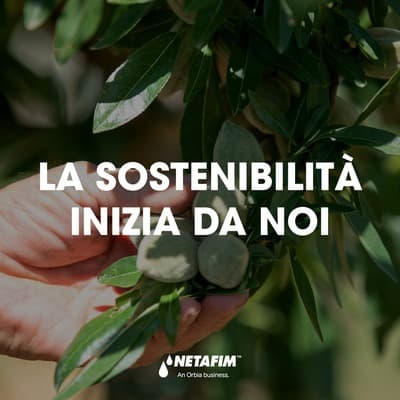 Figura illustrativa M.G.P. AUTOMAZIONI SRLS