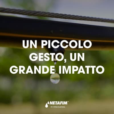 Figura illustrativa M.G.P. AUTOMAZIONI SRLS