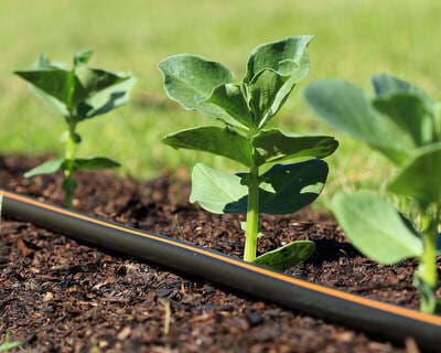 Figura illustrativa M.G.P. AUTOMAZIONI SRLS