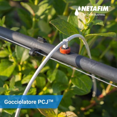 Figura illustrativa M.G.P. AUTOMAZIONI SRLS