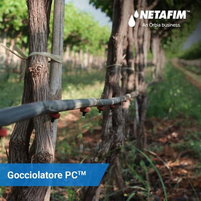 Figura illustrativa M.G.P. AUTOMAZIONI SRLS