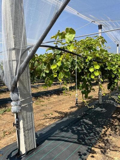 Figura illustrativa M.G.P. AUTOMAZIONI SRLS