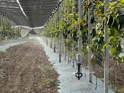 Figura illustrativa M.G.P. AUTOMAZIONI SRLS