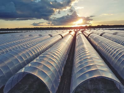 Figura illustrativa M.G.P. AUTOMAZIONI SRLS