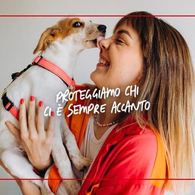 Figura illustrativa Pagano Assicurazioni