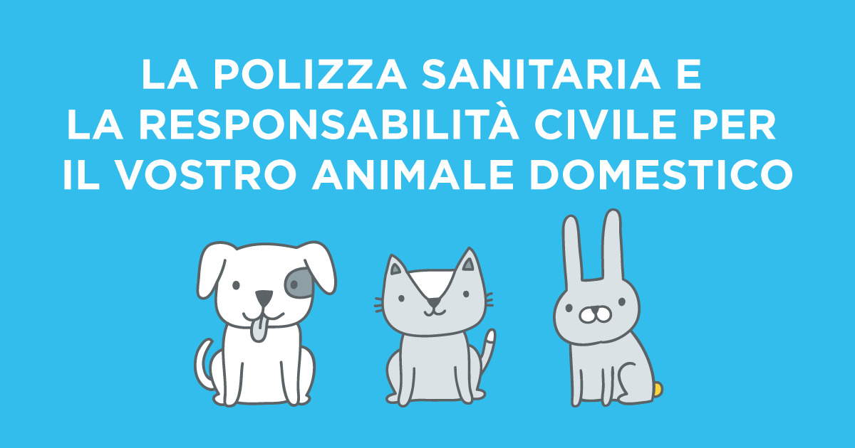 Figura illustrativa Pagano Assicurazioni