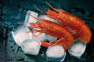 Figura illustrativa Agghiacciò