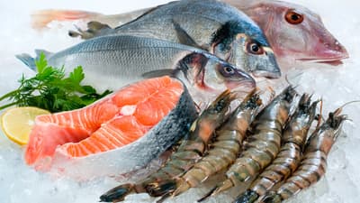 Figura illustrativa Agghiacciò