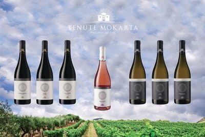 Figura illustrativa Agghiacciò