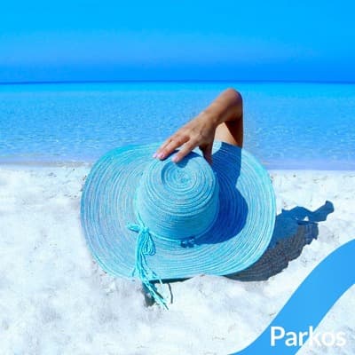 Figura illustrativa Optimus Parking