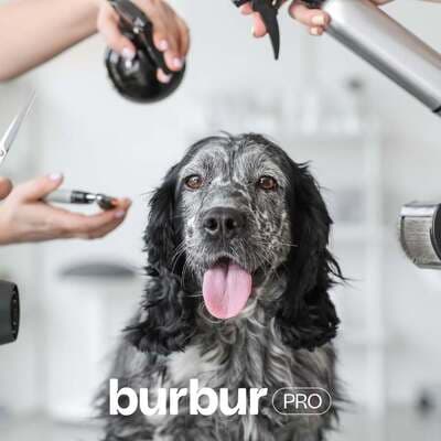 Figura illustrativa Ale Pets Pet Shop & Grooming