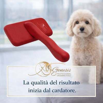 Figura illustrativa Ale Pets Pet Shop & Grooming