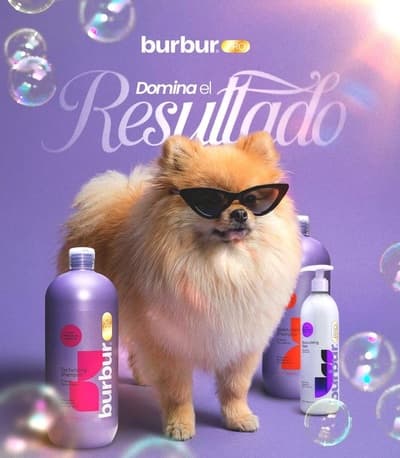 Figura illustrativa Ale Pets Pet Shop & Grooming