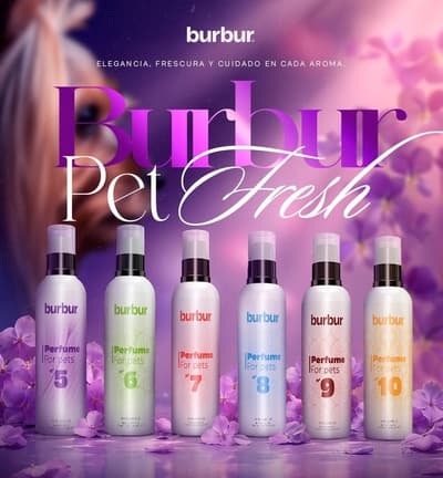 Figura illustrativa Ale Pets Pet Shop & Grooming