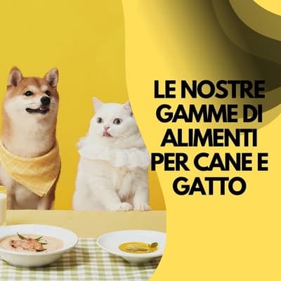 Figura illustrativa Ale Pets Pet Shop & Grooming