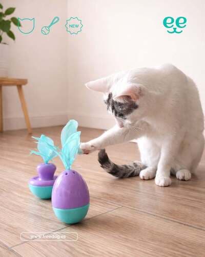 Figura illustrativa Ale Pets Pet Shop & Grooming