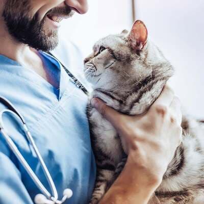 Figura illustrativa Ale Pets Pet Shop & Grooming