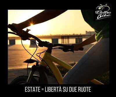 Figura illustrativa Elettrobike