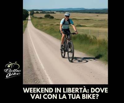 Figura illustrativa Elettrobike