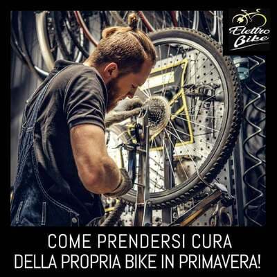Figura illustrativa Elettrobike