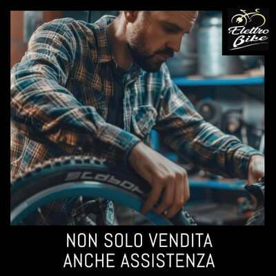 Figura illustrativa Elettrobike