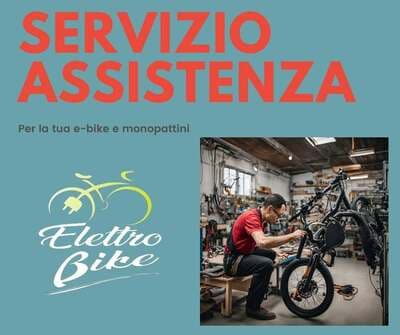 Figura illustrativa Elettrobike
