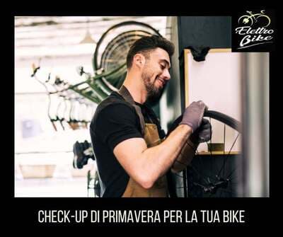Figura illustrativa Elettrobike