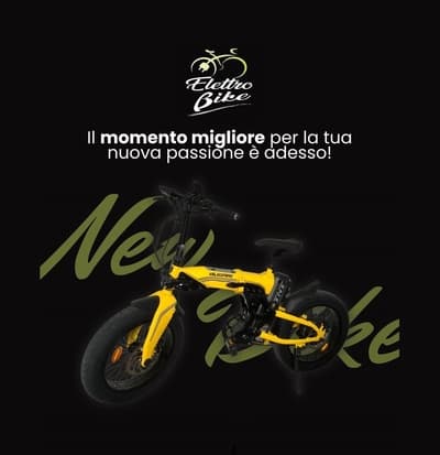 Figura illustrativa Elettrobike