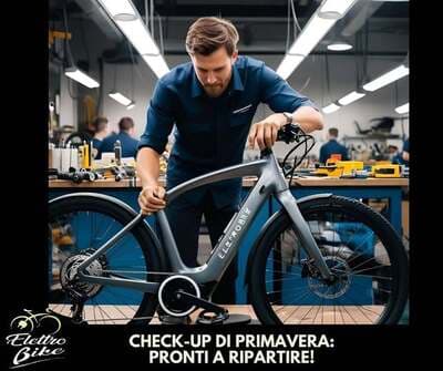 Figura illustrativa Elettrobike