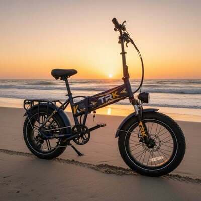 Figura illustrativa Elettrobike