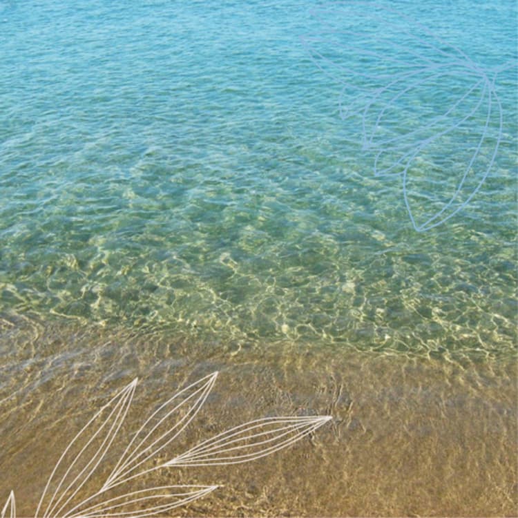 categoria azienda Hamama Lido Balneare