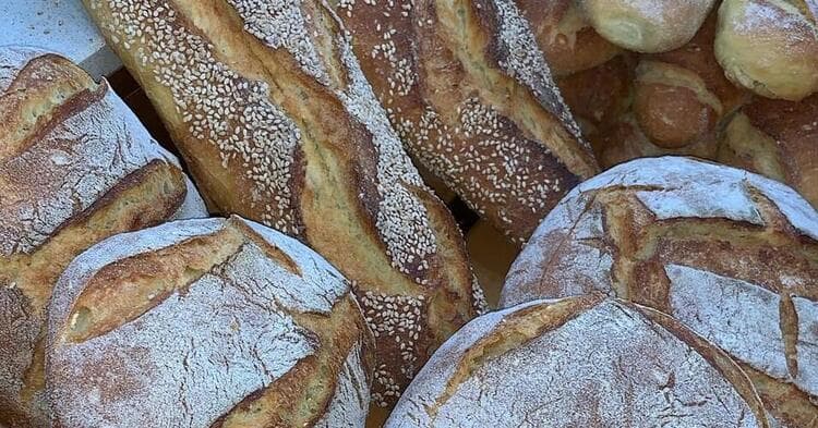 categoria azienda Panificio Non Solo Pane